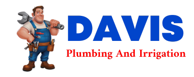 Trusted plumber in MINTER CITY